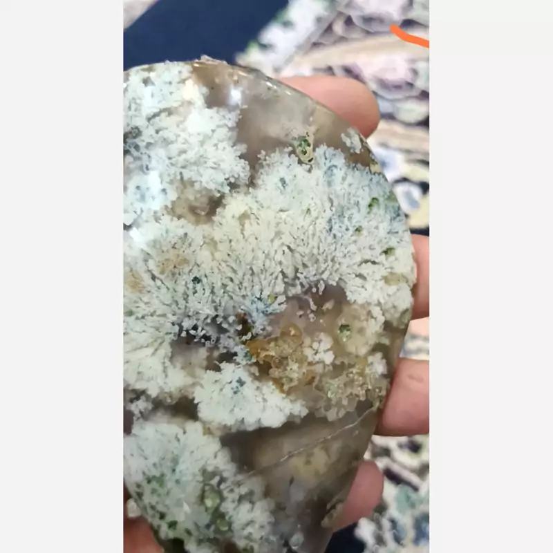 عقیق  شجر ناب