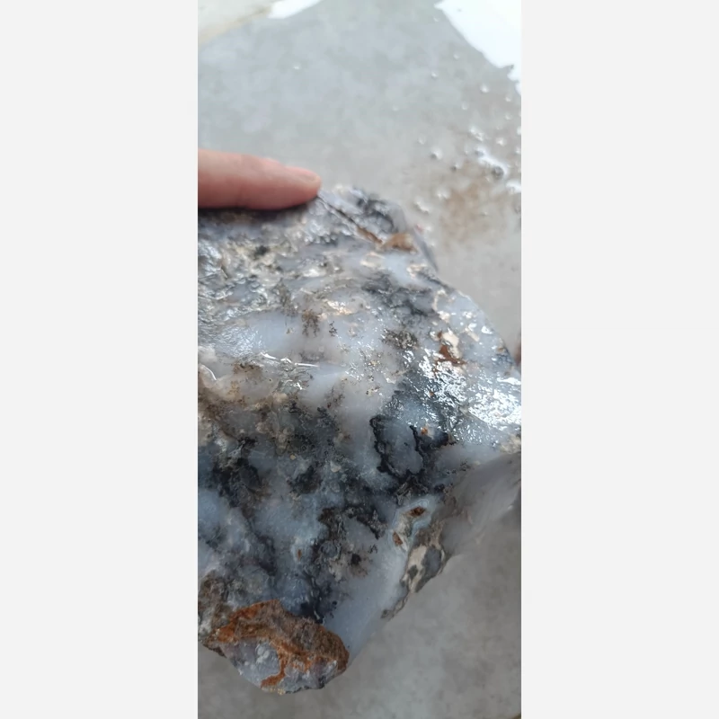 راف عقیق  تک درخت سیاه 10 کیلو گرم