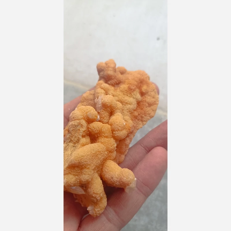 کوارتزیت  کلکسیونی