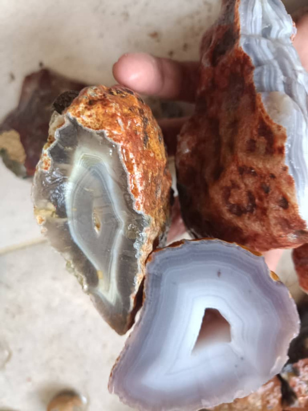 بهترین از ما بخواهید