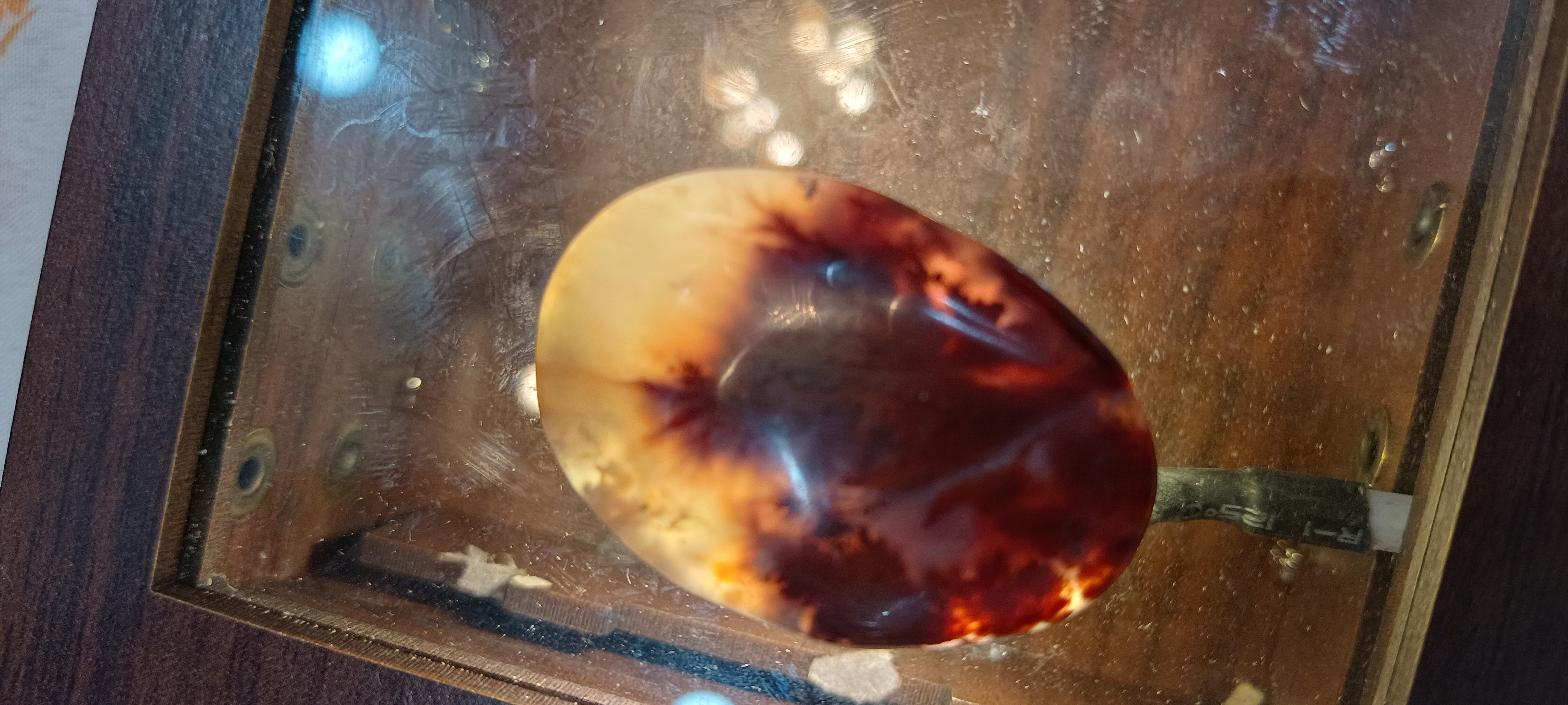 مدال گردنی عقیق سرخ درختی